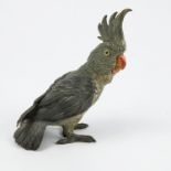 A cold painted bronze model, of a cockatiel, height 5.