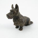 A cold painted bronze model, of a seated Scottish Terrier,