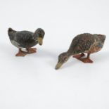 Two cold painted bronze models, of ducks, heights 1.5ins and 1.