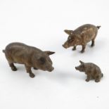 A cold painted bronze model, of a pig, height 1.