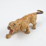 A cold painted bronze model, of a tiger, height 2ins,