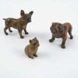 A cold painted bronze model, of a dog, numbered to underside, height 1.