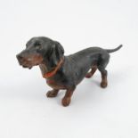A cold painted model, of a dachshund, in black and tan,