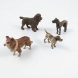 A cold painted bronze model, of a spaniel, height 2ins,