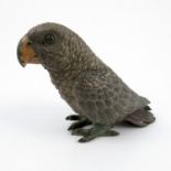A Bergman style cold painted bronze model, of a parrot, stamped Geschutzt, height 3.