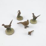 A pair of cold painted bronze models, of pheasants,