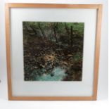 Andy Goldsworthy, colour photograph,