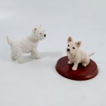 Two Border Fine Art models, Westie, PG13 and A1393