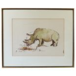 Ishbel McWhirter, watercolour, rhinoceros, 15.5ins