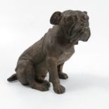 A cold painted bronze model, of a seated bull dog,