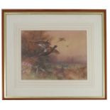 W E Powell, watercolour, pheasants in flight, signed and dated, 9.5ins x 13.25ins