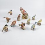 A collection of Royal Worcester bird models, by Ev