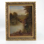 J H Lewis, oil on board, mallard duck taking off from river bank, 11.5ins x 8.5ins