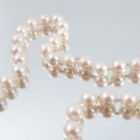 A uniform row of cultured pearls, the sixty six pearls of approximately 6 - 6.5mm diameter, to a