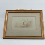 James Stinton, watercolour, cock and hen pheasant, 5.75ins x 9ins