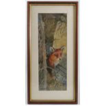 R H Austin, watercolour, Fox, 13ins x 4.75ins