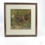 R H Austin, watercolour, Thrushes nest and eggs, 8.5ins x 8.5ins