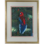 Robin Hill, two gouaches, parrot and two parrots on a branch, 18ins x 13.75ins and 17.5ins x 23.