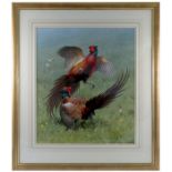 Rodger McPhail, gouache, cock pheasants sparring, 23ins x 19.5ins, with Tryon & Swann Gallery