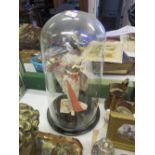 Glass Dome with Japanese Doll