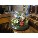 A Glass Display Dome