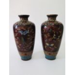 A Pair of Nineteenth Century Chinese Cloisonné Enamel Vases, 21 cm