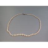 A Boxed Mikimoto Graduated Pearl Necklace, 48 cm, 13.5 g, largest c. 7mm