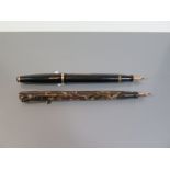 Two Swan Fountain Pens