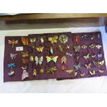 A Large Selection of Insect Brooches