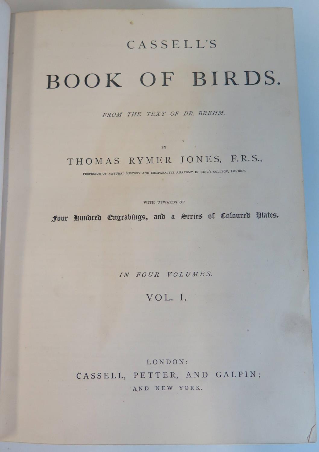 Cassell's Book of Birds in Four Volumes, Cassell, Petter and Galpin, half leather boards - Bild 3 aus 6