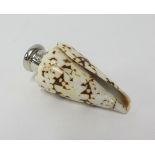 A Victorian silver and shell scent bottle in a form of a well marked seashell, mounted with threaded