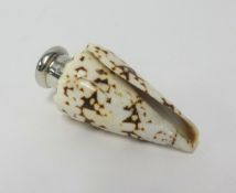 A Victorian silver and shell scent bottle in a form of a well marked seashell, mounted with threaded