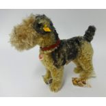 Steiff model classic 1935 Fellow Terrier 035012, mohair, with labels and bag.