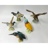A collection of four Beswick birds and another, Jay 1219, Kingfisher, Cockatoo 1180, Bald Eagle 1018