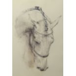 Lydia Kiernani, print, 'Horse Head', No.137/500, 58cm x 38cm