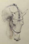 Lydia Kiernani, print, 'Horse Head', No.137/500, 58cm x 38cm