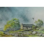 Rick Lewis A.R.A (Irish), watercolour, signed 'Stone cottage, grey day', 27cm x 37cm