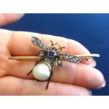 An antique 'bug' brooch, set with diamonds, rubies, a sapphire and a baroque pearl, in a yellow