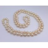A single row of graduating sea water cultured pearls, together with a copy of a detailed insurance