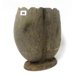 A Coco de Mer container, unpolished, height 34cm.