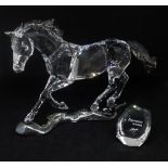 Swarovski Crystal Glass, SCS 2014 'Esperanza' 5004728.