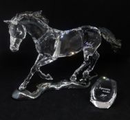 Swarovski Crystal Glass, SCS 2014 'Esperanza' 5004728.