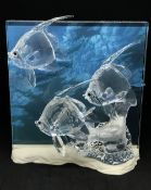 Swarovski Crystal Glass, 'Wonders of the Sea, Community', boxed.
