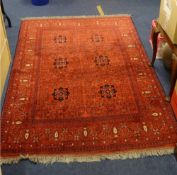 Eastern Rug, 200cm, x 125cm.