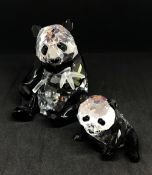 Swarovski Crystal Glass, SCS 'Endangered Wildlife Pandas', boxed.