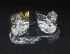 Swarovski Crystal Glass, 'Mandarin Ducks', 858736