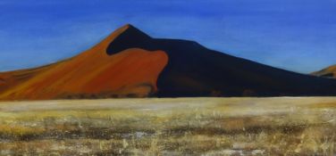Rosemary Bonney (contemporary Devon) 'Namibia' , oil on canvas, 60cm x 30cm.