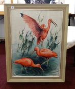 Stuart M. Armfield (1916 - 1999), watercolour 'Flamingos', 73cm x 52cm.