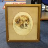 Early 20th Century watercolour 'St. Bernard Dog' in oval mount, 27cm x 22cm.