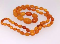 A string of yellow amber beads, approx 56.6gms.